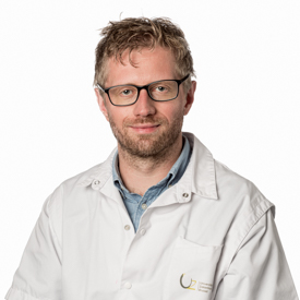 Miguel D'Haeseleer